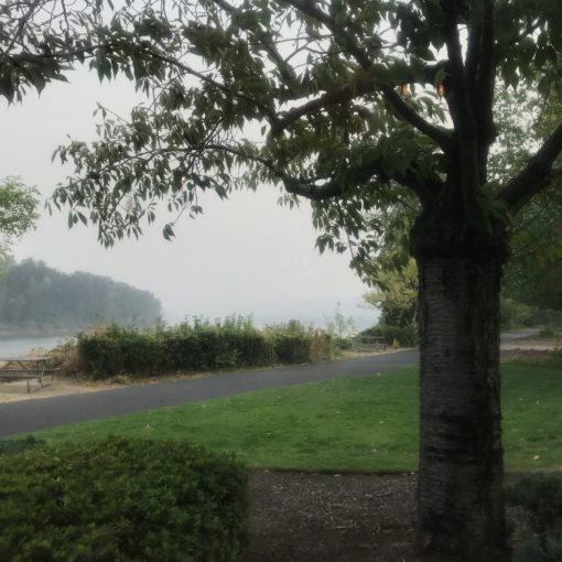 Photo of smoke from forest fires limiting visibility on the Willamette River.