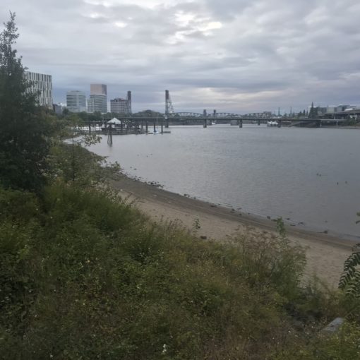 Photo of Poet's Beach in South Waterfront.