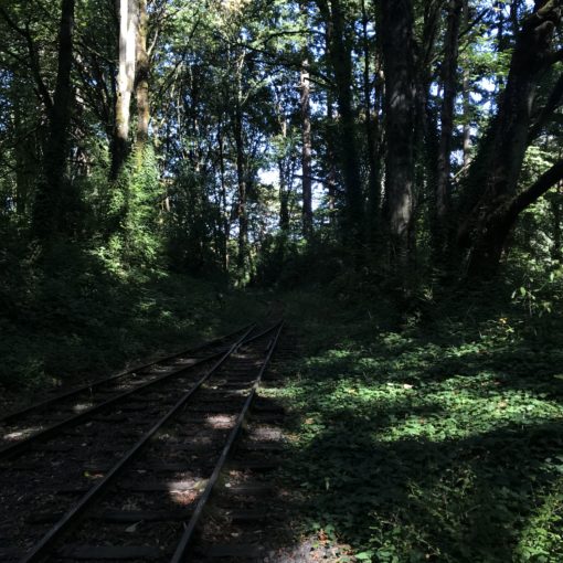 Photo of the abandoned Zoo Train crossing along the MAC Trail at Washington Park.