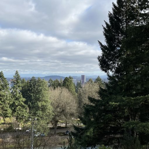 Photo of Mt. Hood between clouds behind downtown Portland.