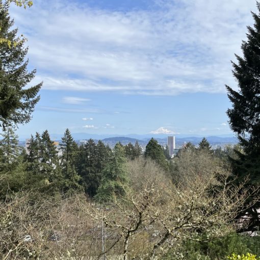 Photo looking toward Mt. Hood and downtown Portland from the scenic overlook at the Portland Japanese Garden.