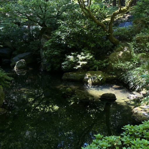 Photo of a pond in the Natural Garden at the Portland Japanese Garden with patches of light.
