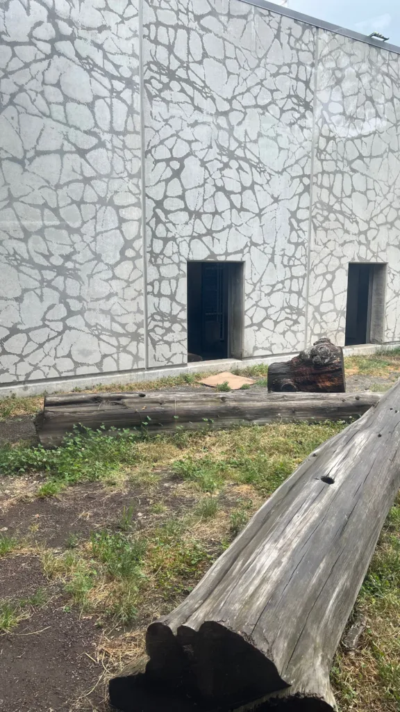 Photo of an open door in the polar bear habitat at the Oregon Zoo. One of Kallik's paws can be seen in the bottom left corner.